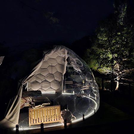 Camping Paradiso 페자로 외부 사진