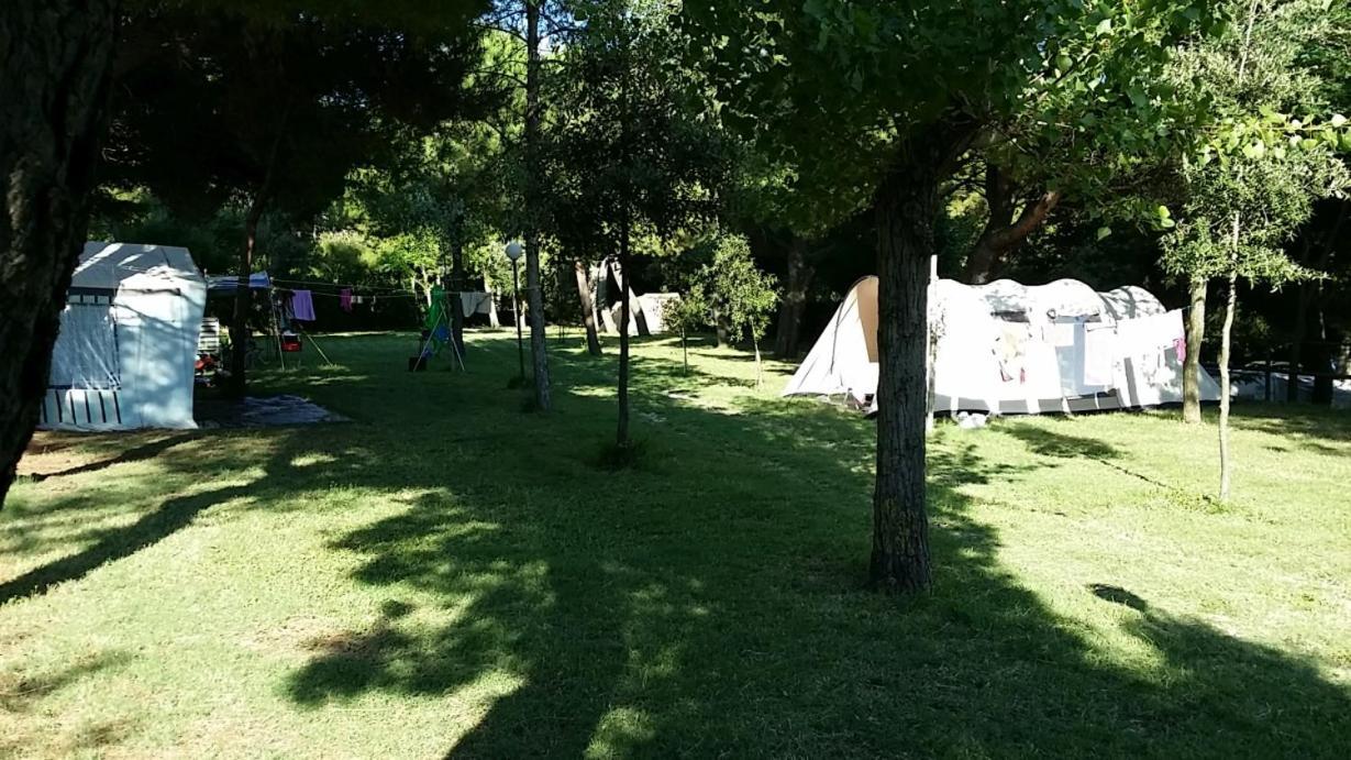 Camping Paradiso 페자로 외부 사진