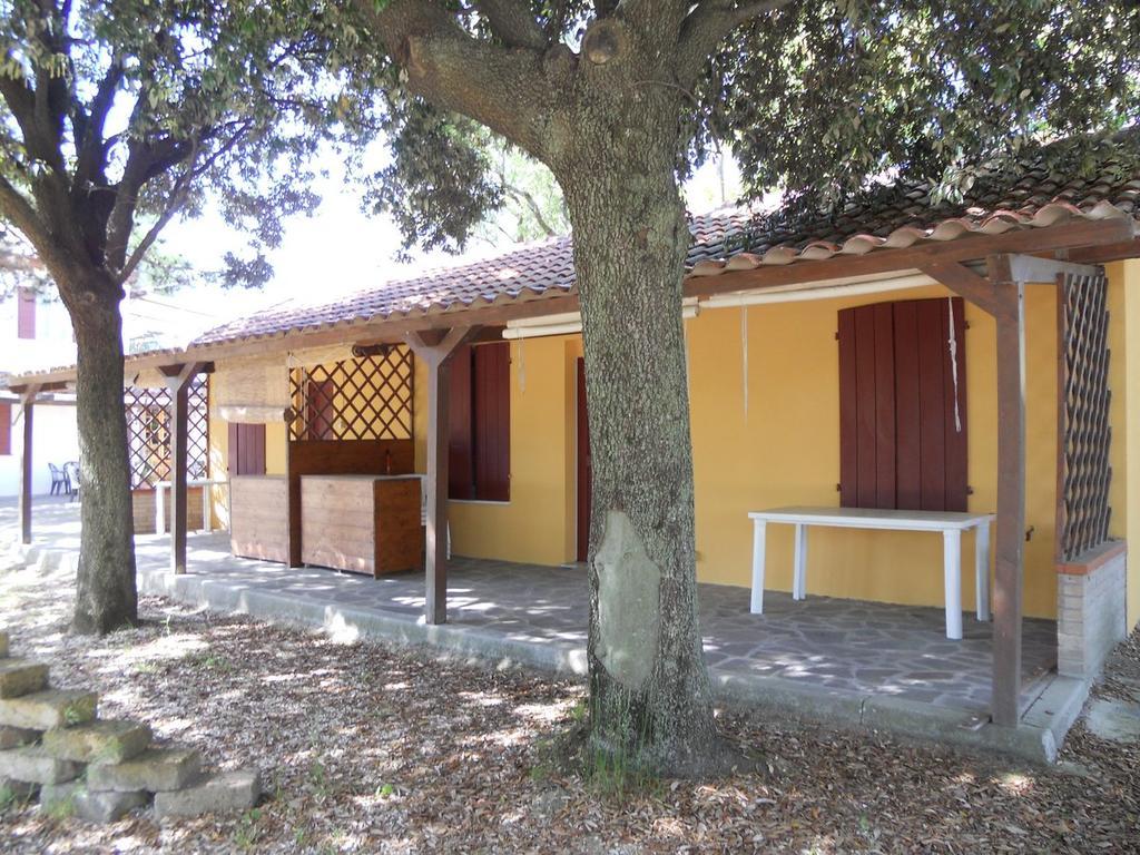 Camping Paradiso 페자로 객실 사진